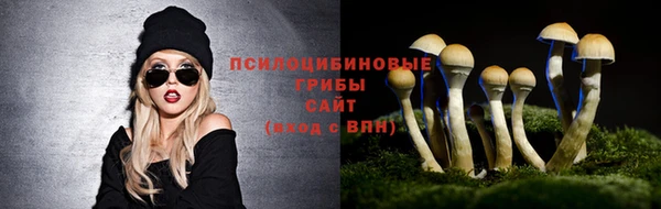 прущая мука Белокуриха