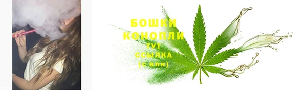 крисы Белоозёрский