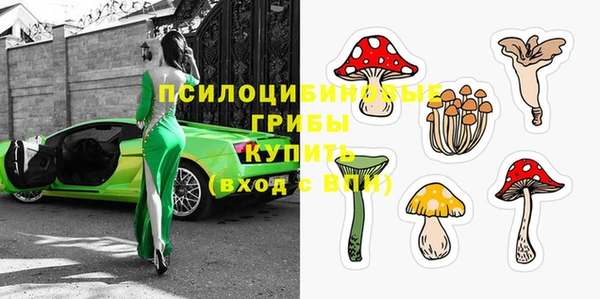 прущая мука Белокуриха