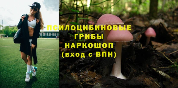 крисы Белоозёрский